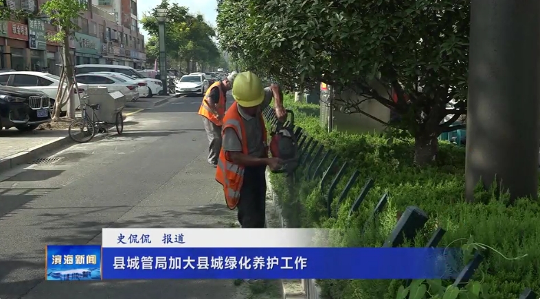 縣城管局加大縣城綠化養(yǎng)護(hù)工作