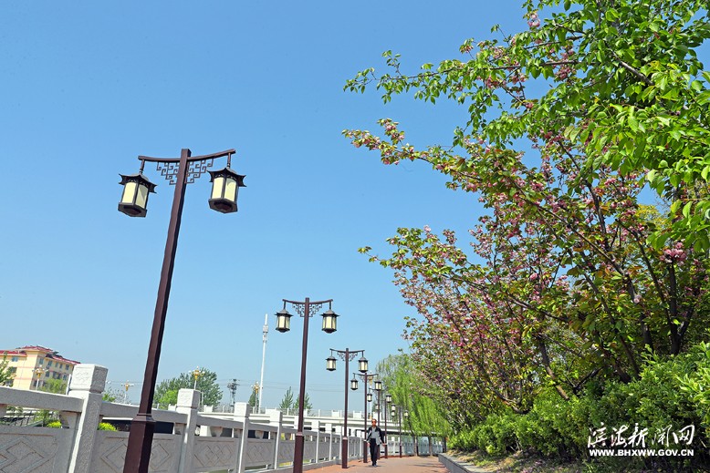 沿河風光帶
