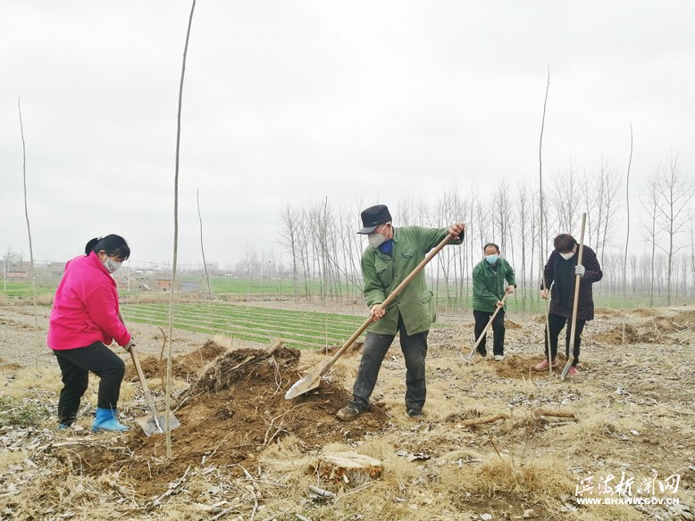 各鎮(zhèn)（區(qū)、街道）掀起植樹綠化熱潮