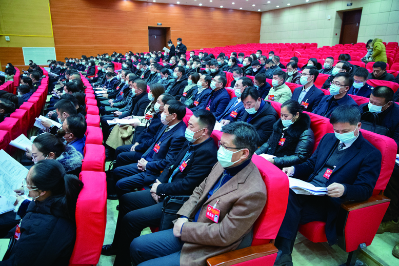 出席政協(xié)濱?？h十三屆五次會議的委員們