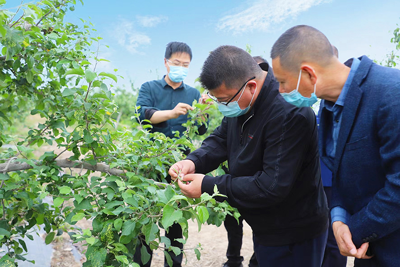 縣植物保護站技術人員向村民講解果樹綠色防控措施